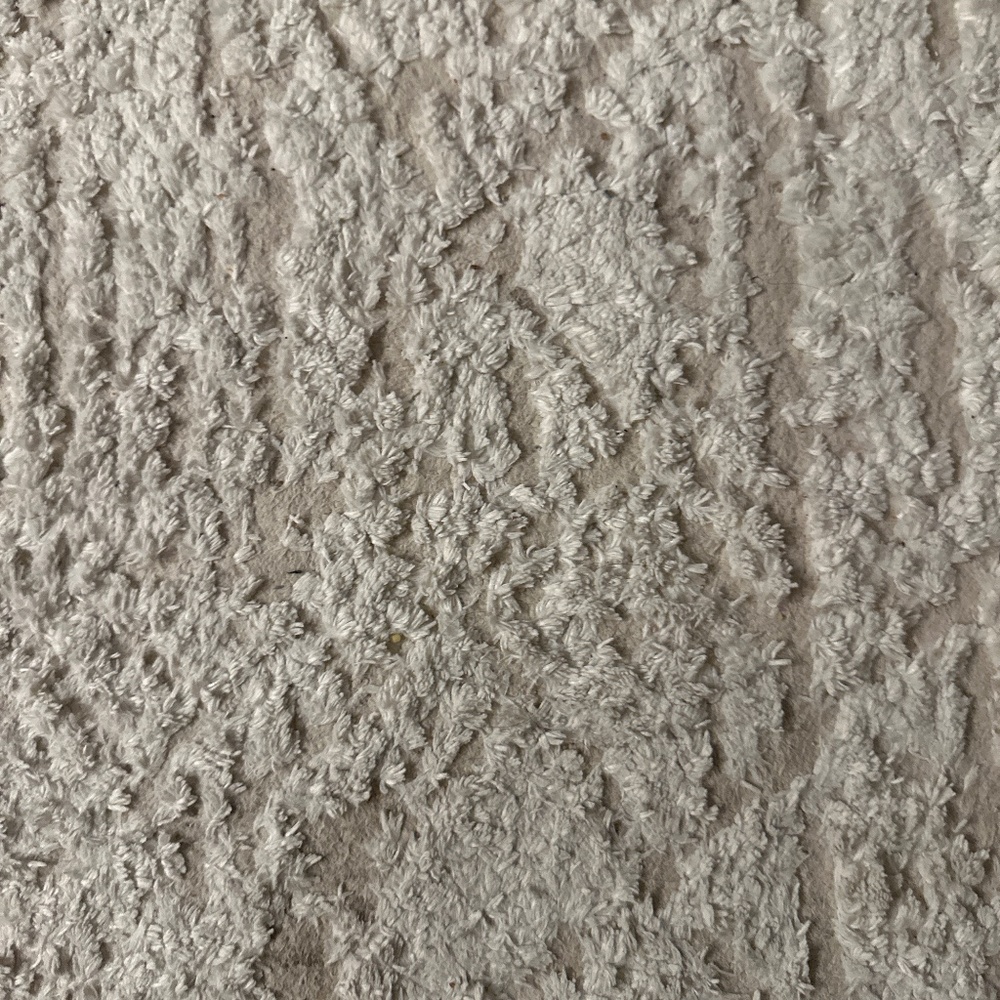 Meet your Posher, Lilly